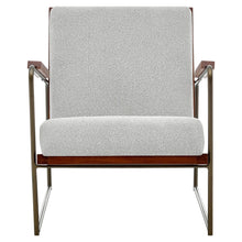 New Pacific Direct Damian Fabric Accent Arm Chair -  1250023-563