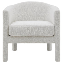 New Pacific Direct Jennifer Fabric Accent Arm Chair  - 1900171-563