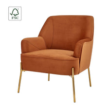 New Pacific Direct Arianna Velvet Fabric Accent Arm Chair 1900183-565 - 1900183-565
