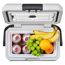 Earth Day Sale-BODEGAcooler Mini 12V Portable Freezer P8 9Qt/8L - P8-1