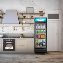BODEGAcooler Commercial Glass Door Display Refrigerator Merchandiser 12.2 Cu. Ft