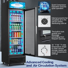 BODEGAcooler Commercial Glass Door Display Refrigerator Merchandiser 12.2 Cu. Ft
