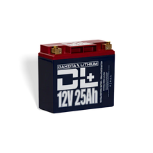 Dakota Lithium + 12V 25Ah LiFePO4 Battery Twin Pack
