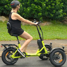 AddMotor 750W 48V SpytanX Reverse Electric Bike
