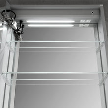 Blossom Pillar – 24 Inches LED Medicine Cabinet - MCL1 2432L