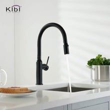 Kibi Hilo Single Handle High Arc Pull Down Kitchen Faucet in Matte Black Finish - KKF2008MB