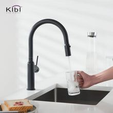 Kibi Hilo Single Handle High Arc Pull Down Kitchen Faucet in Matte Black Finish - KKF2008MB