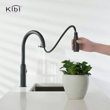Kibi Hilo Single Handle High Arc Pull Down Kitchen Faucet in Matte Black Finish - KKF2008MB