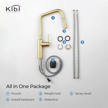 Kibi Macon Single Handle High Arc Pull Down Kitchen Faucet in Brushed Gold Finish - KKF2007BG