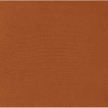 New Pacific Direct Arianna Velvet Fabric Accent Arm Chair 1900183-565 - 1900183-565
