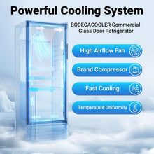Bodega cooler Upright Display refrigerator Commercial Fridge 10.2 Cu.Ft.