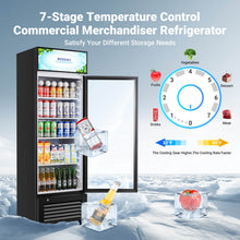 BODEGAcooler Commercial Glass Door Display Refrigerator Merchandiser 9cu.ft