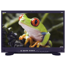 Marshall  24" Modular Design Monitor with Composite and Component inputs - V-MD241