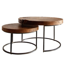 New Pacific Direct Otto Reclaimed Teak Root Coffee Table Set of 2 -  9600022