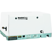 Cummins Onan QG 5500 5.5kW Generator 5.5HGJAD-6759+ Commercial Mobile Gas Single Phase 120/240 Volt Air Cooled EVAP New