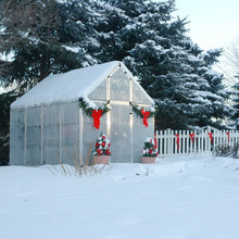 Palram - Canopia | Snap & Grow Greenhouse Kit - 6ft Wide - Silver With 0.8mm Polycarbonate Glazing - HG6008