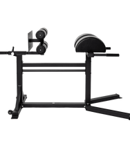 TAG Fitness Glute Ham - 1770028108722_480